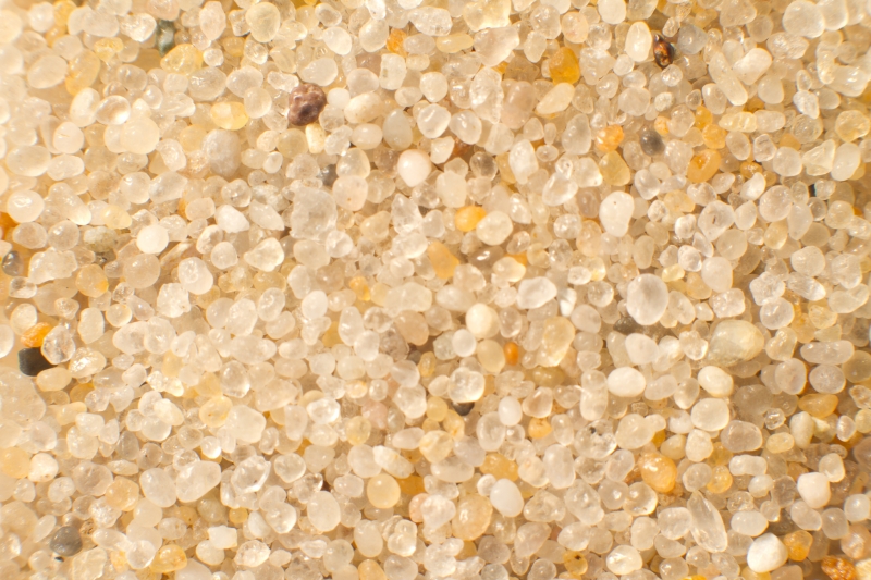 Nederland, Noord-Holland, Petten